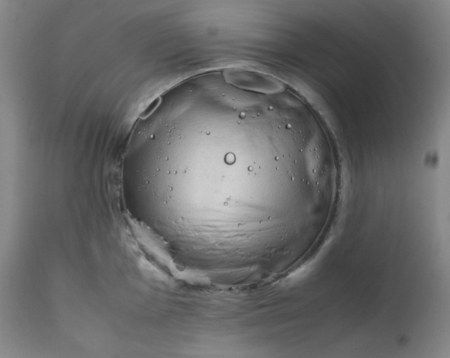 X0000112211001200908211514