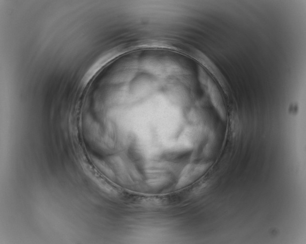 X0000112211002200908211514