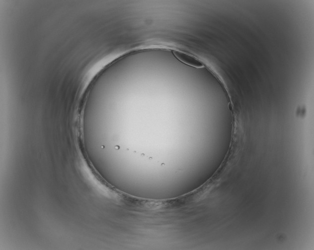 X0000112211003200908211514