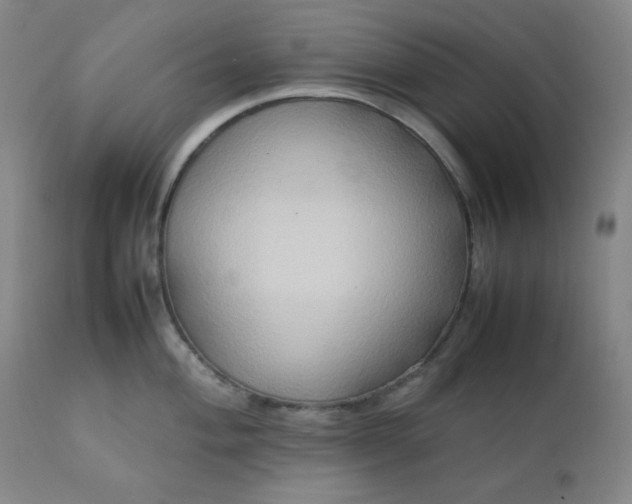 X0000112211004200908211514