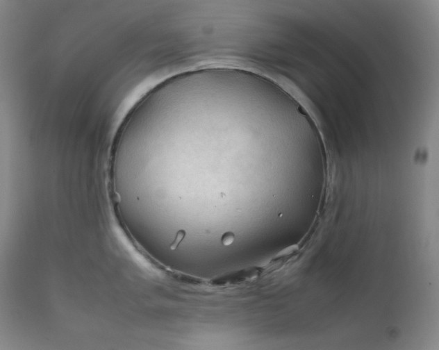 X0000112211005200908211514