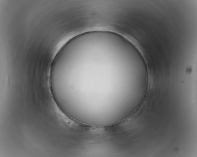 X0000112211006200908211514