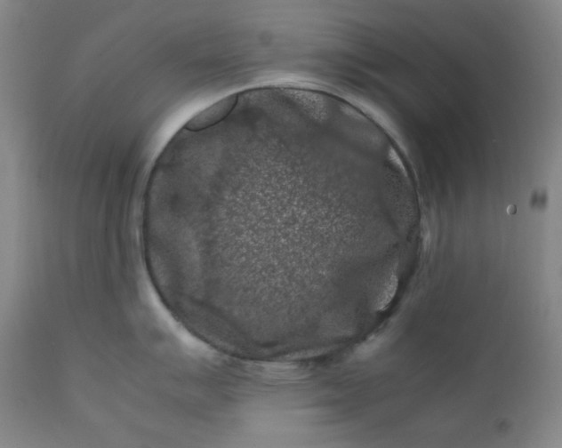 X0000112211007200908211514