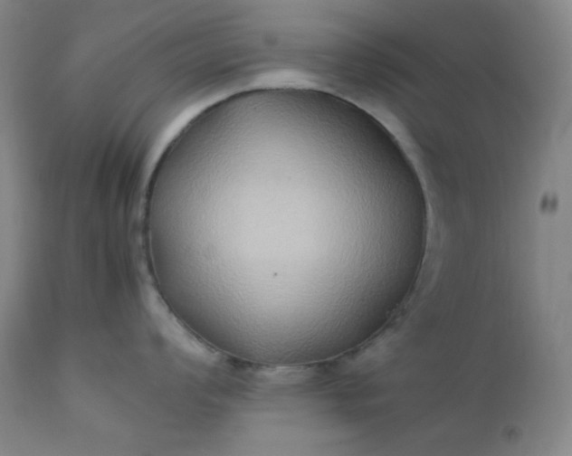 X0000112211008200908211514