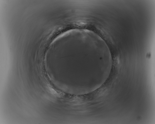 X0000112211009200908211513