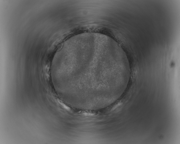 X0000112211010200908211513