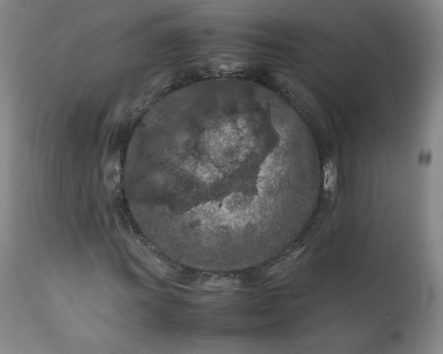 X0000112211011200908211513