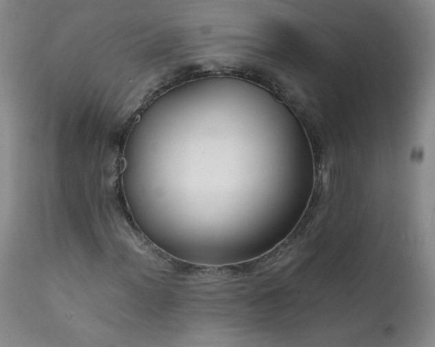 X0000112211012200908211513