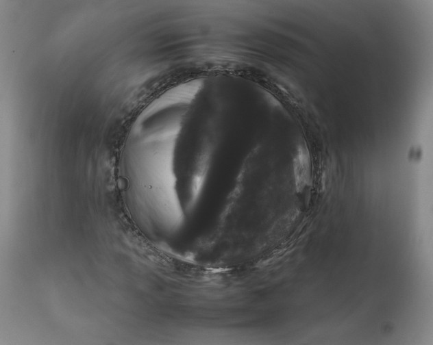 X0000112211013200908211513