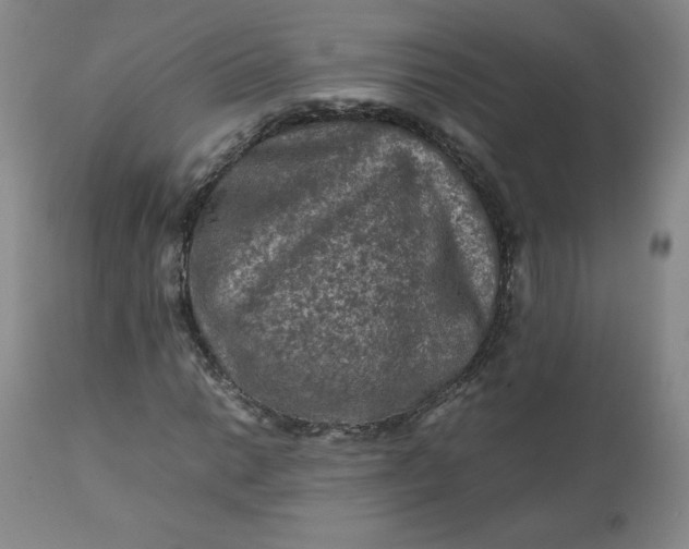 X0000112211014200908211513