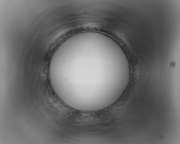 X0000112211015200908211513