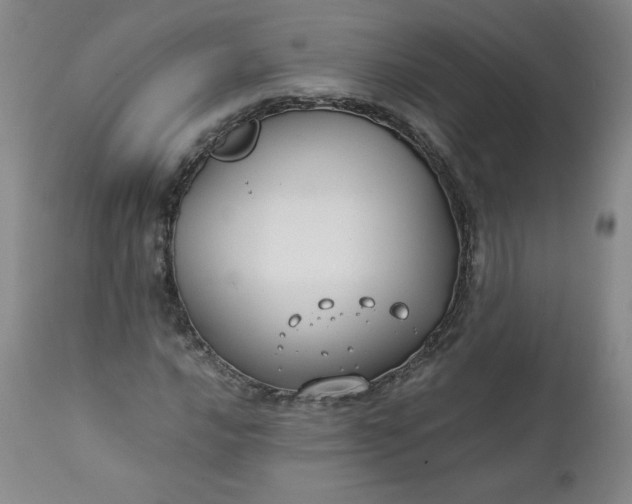 X0000112211016200908211513