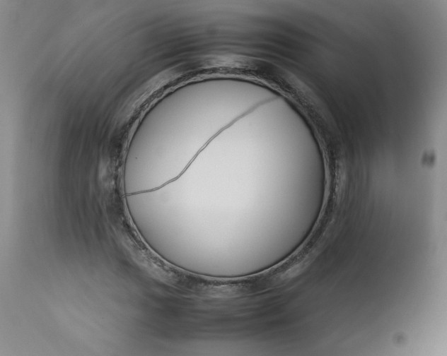 X0000112211017200908211513