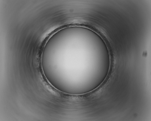 X0000112211018200908211513