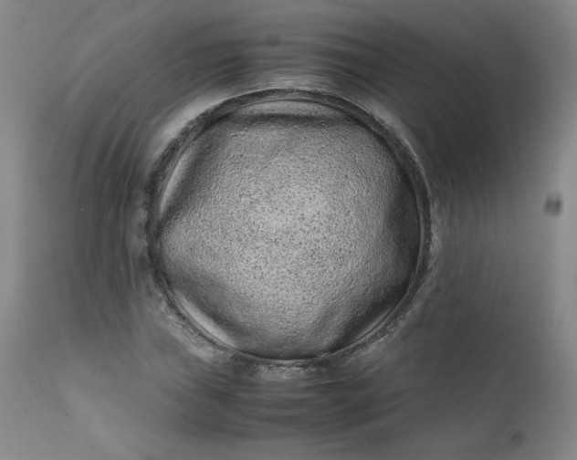 X0000112211019200908211513