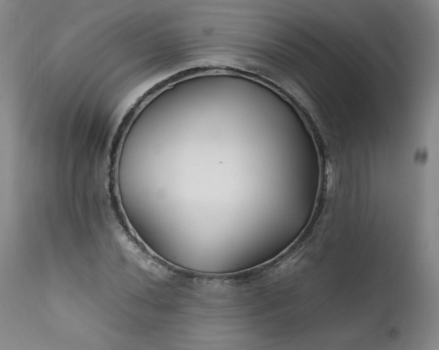 X0000112211020200908211513