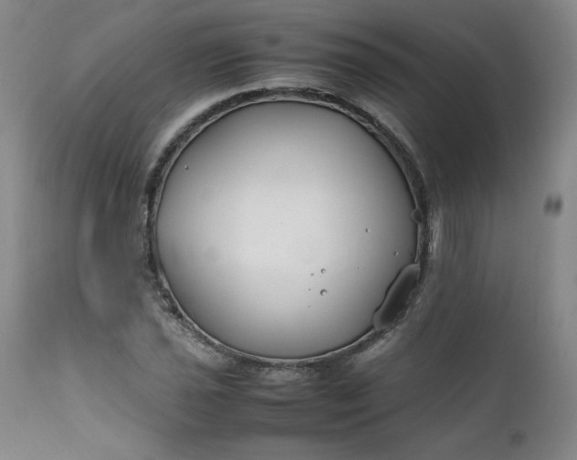 X0000112211021200908211514