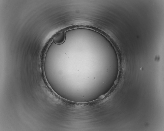 X0000112211022200908211514