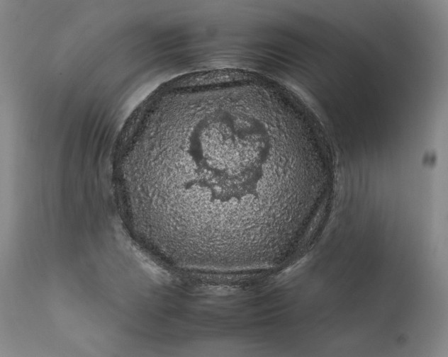 X0000112211023200908211514