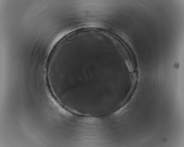 X0000112211024200908211514