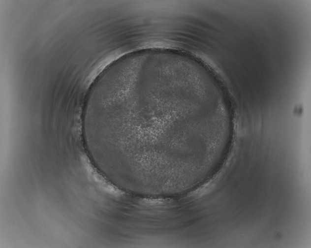 X0000112211025200908211514