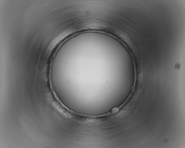 X0000112211026200908211514