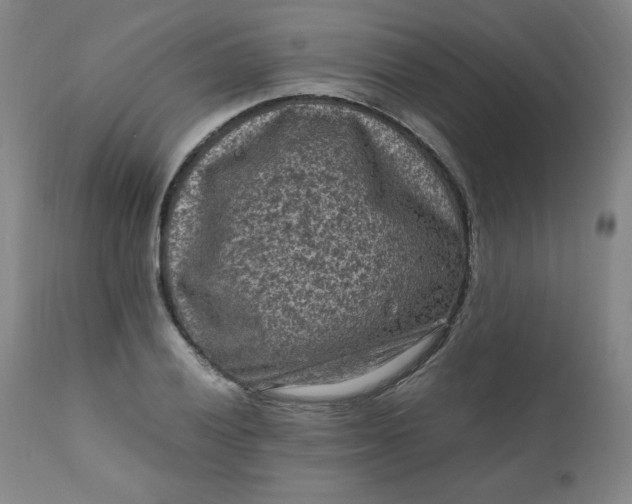 X0000112211028200908211514