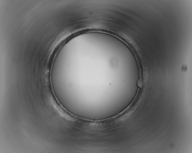 X0000112211029200908211514