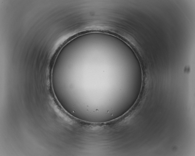 X0000112211030200908211514