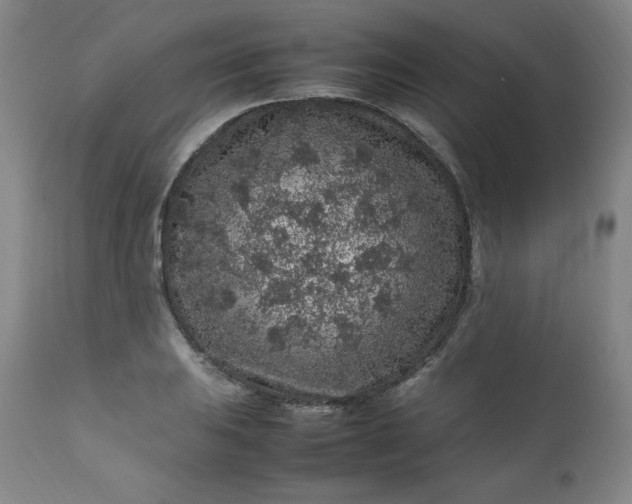 X0000112211031200908211514