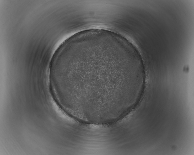 X0000112211032200908211514