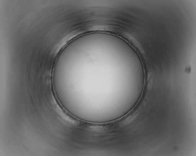 X0000112211033200908211514