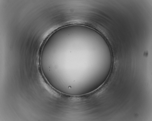 X0000112211034200908211514