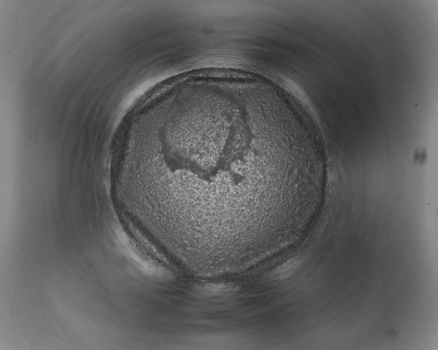 X0000112211035200908211514