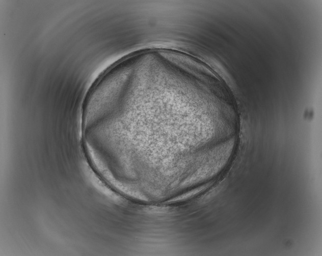 X0000112211036200908211514