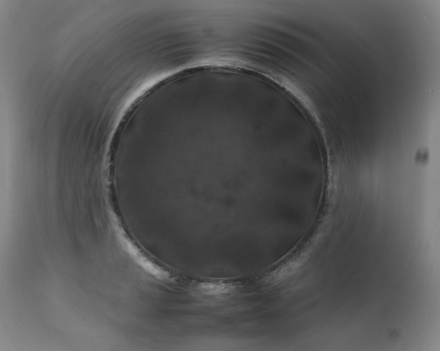 X0000112211037200908211514