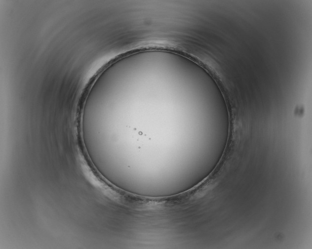 X0000112211038200908211514