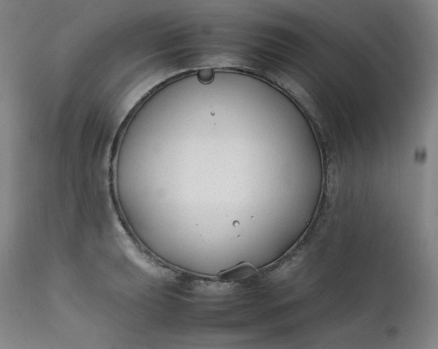 X0000112211039200908211514