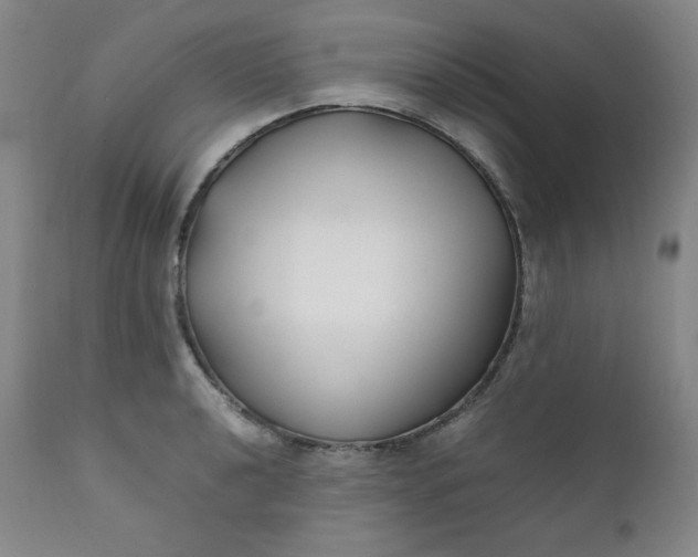 X0000112211040200908211514