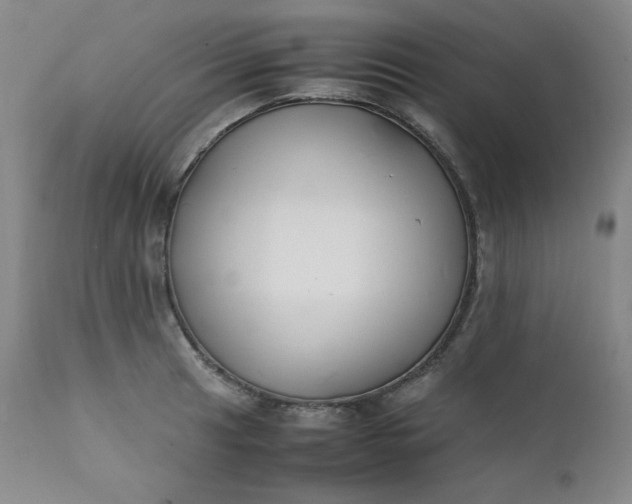 X0000112211041200908211514