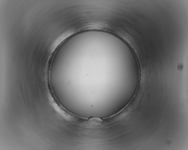 X0000112211042200908211514