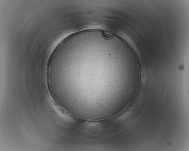 X0000112211043200908211514