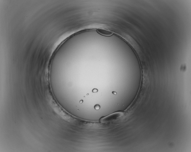 X0000112211044200908211514