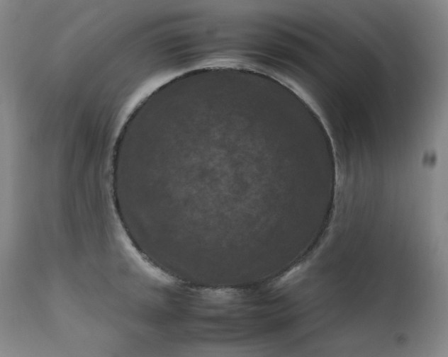 X0000112211045200908211514