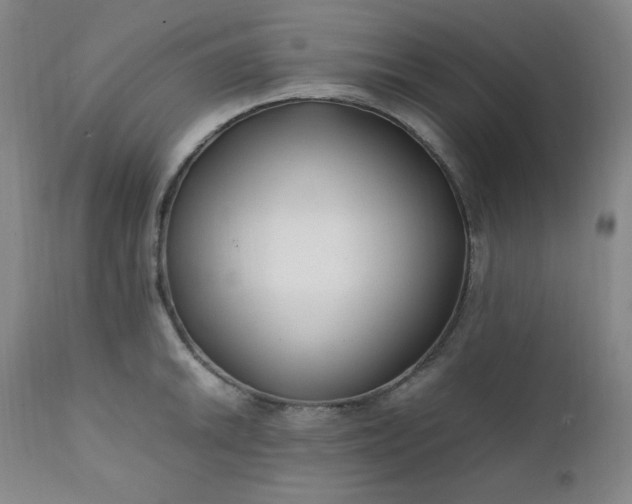 X0000112211046200908211514