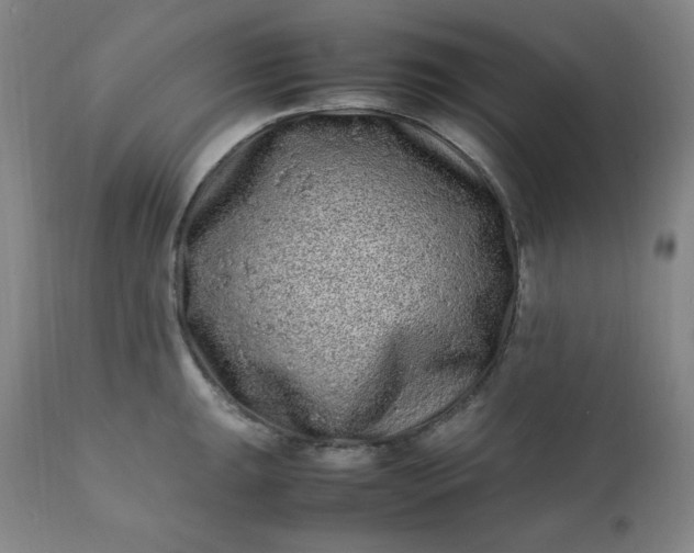 X0000112211047200908211514