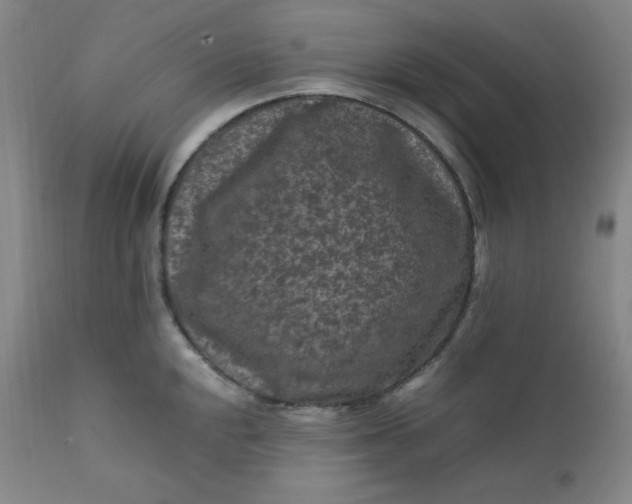 X0000112211048200908211514