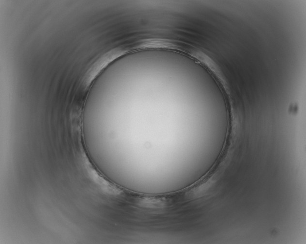 X0000112211049200908211514