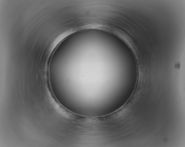 X0000112211050200908211514