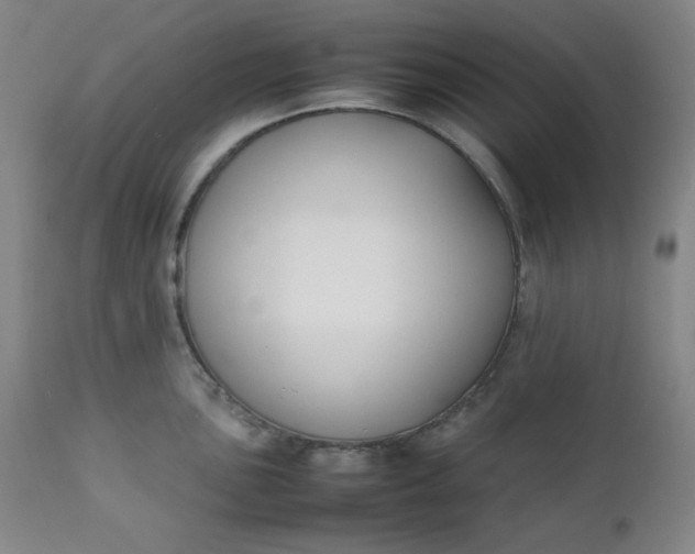 X0000112211051200908211514